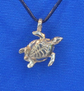 aquatic pendant turtle 2